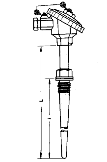 WZP2-631固定螺紋錐形套管雙支熱電阻安裝圖片